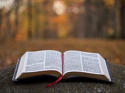 The bible reading verse.